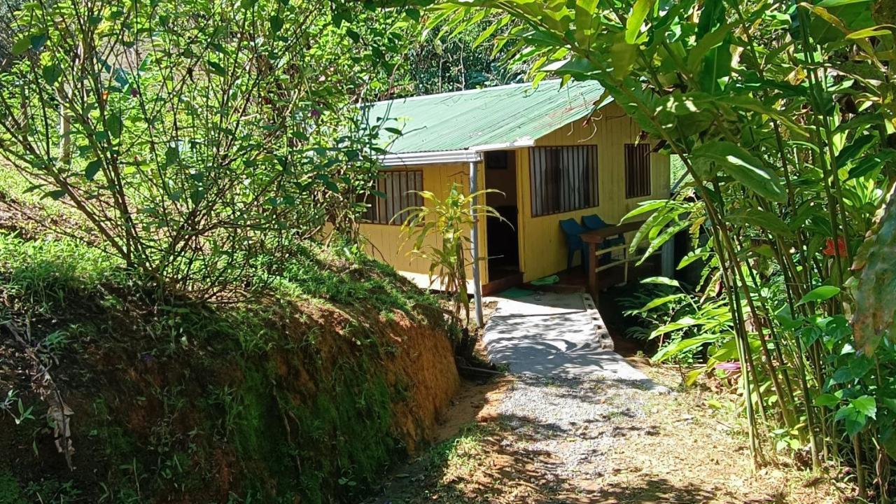 Cabanas Tico Gringo Drakes Bay Exterior foto